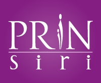 4-prinsiri